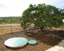 Depuradora Biológica AT12